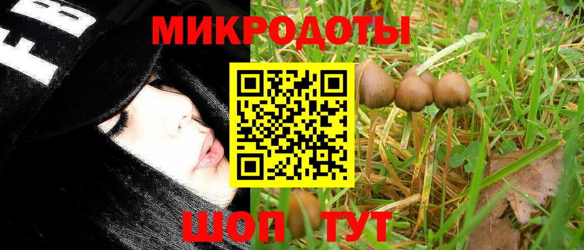 Галлюциногенные грибы MAGIC MUSHROOMS  Галлюциногенные грибы Psilocybine cubensis  Дальнегорск  Вход с VPN 