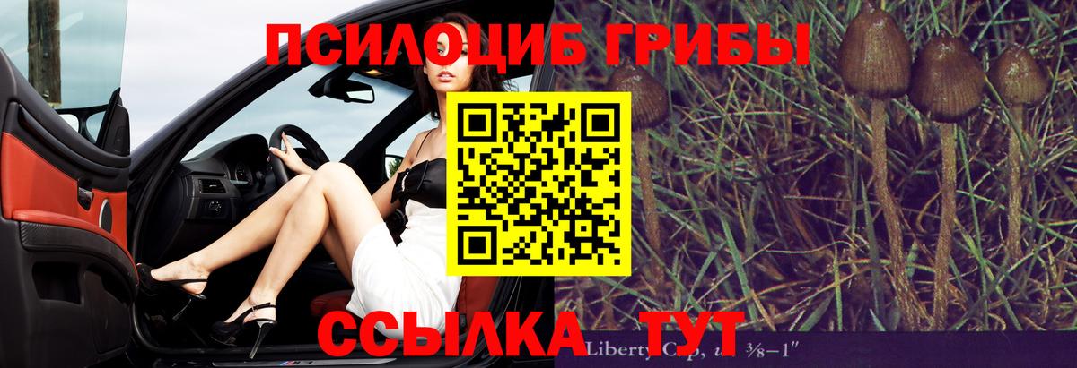 Галлюциногенные грибы ЛСД Дальнегорск